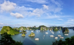 Cẩm Nang Du Lịch Hạ Long