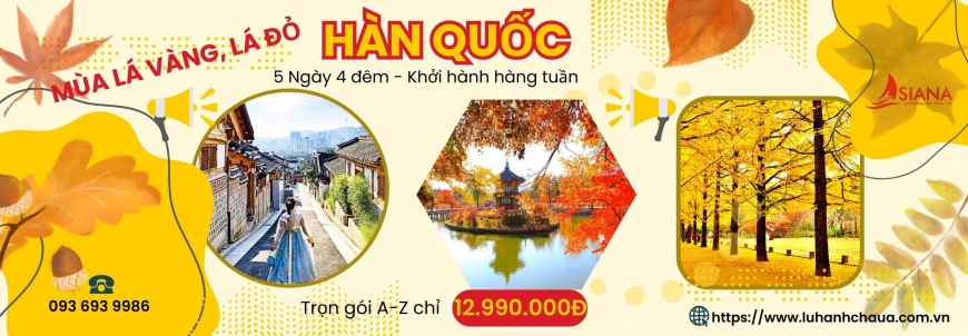 Tour du lịch Hàn Quốc mùa hoa anh đào 2023